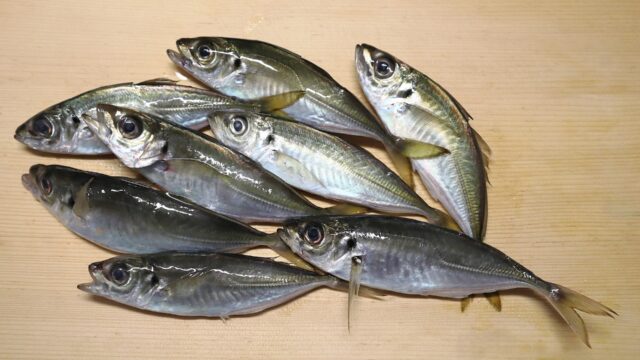 アジ